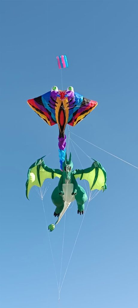 Mardinli uçurtma sanatçısı Japonya yolcusu