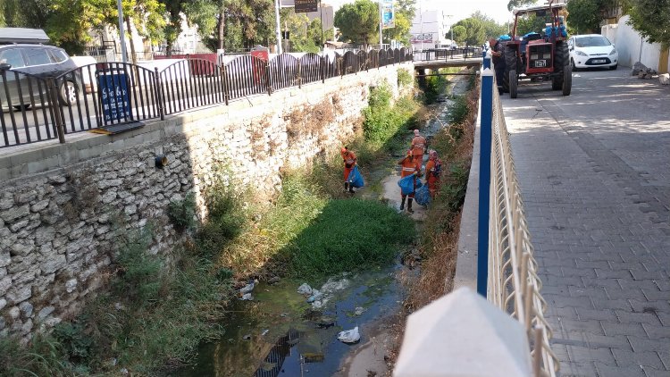 Milas’ta dere temizlikleri sürüyor