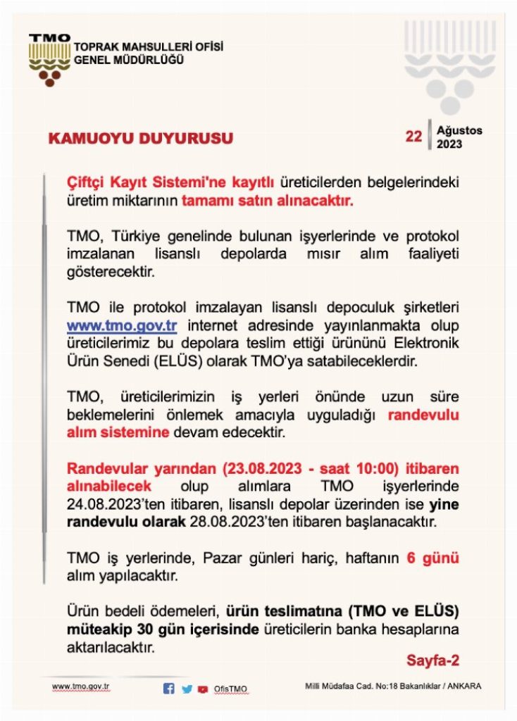 TMO açıkladı… Mısır alım fiyatı belli oldu