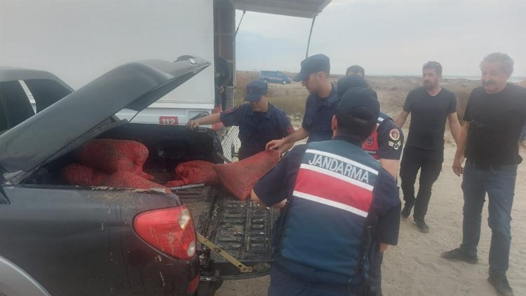 Bursa kırsal sahillerinde kum şırlanı denetimi