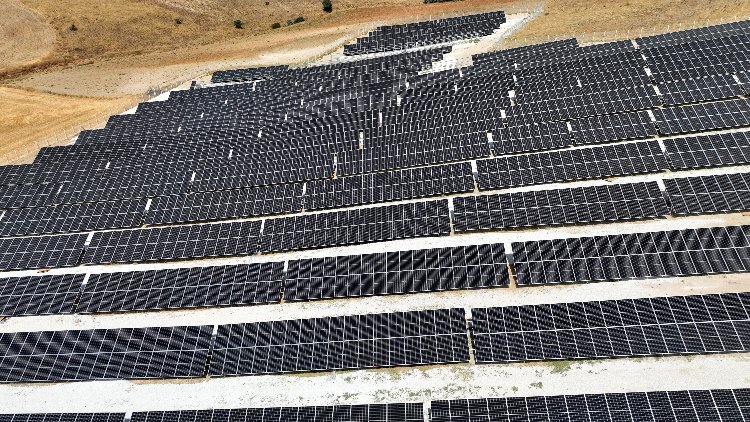 GES paneller 170 bin ağacın kesilmesini önledi!