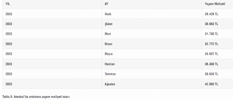 İstanbul’da yaşam maliyeti aylık 42,5 bin TL!