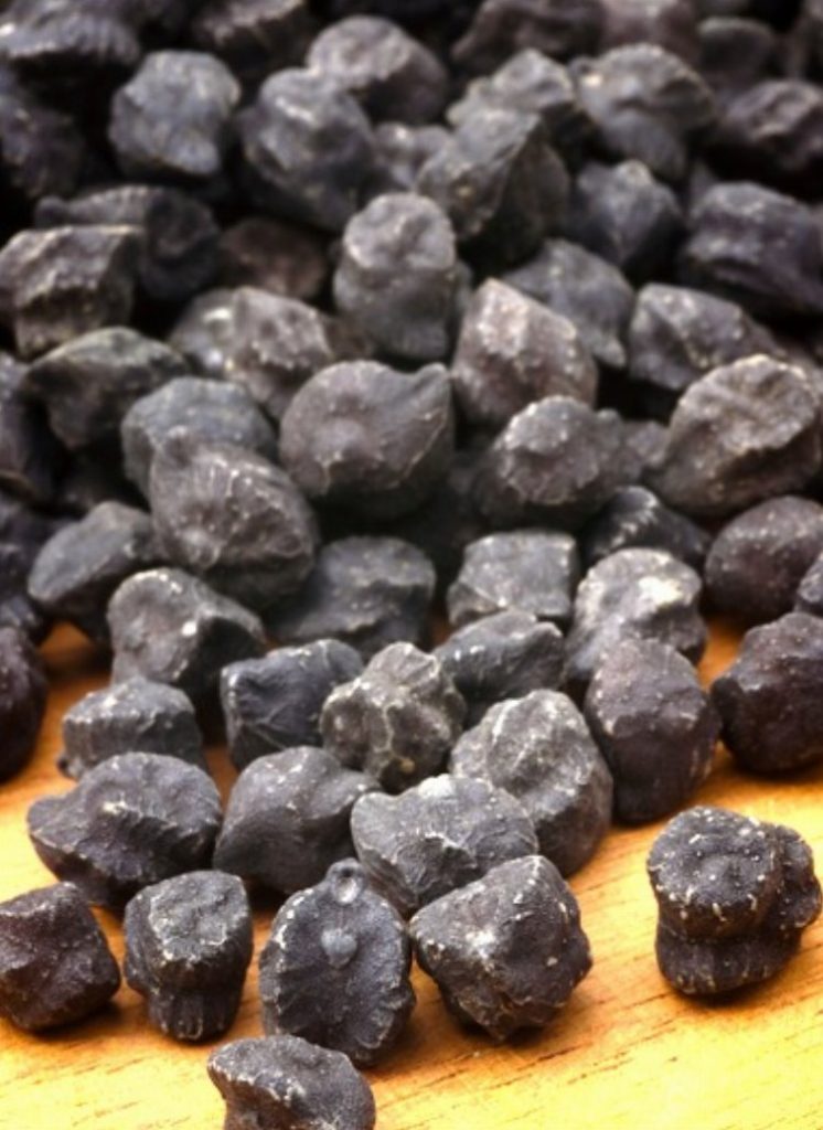 Mardin Anıtlı’da ‘Kara Nohut’a coğrafi işaret