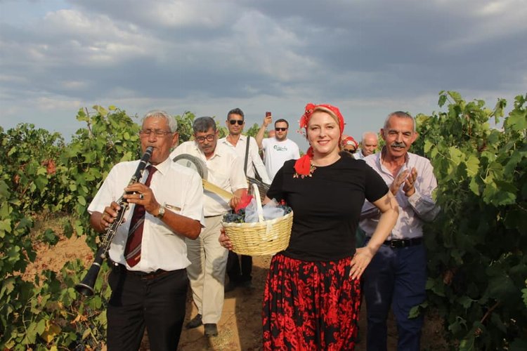 Uzunköprü’de davul zurna eşliğinde bağ bozumu