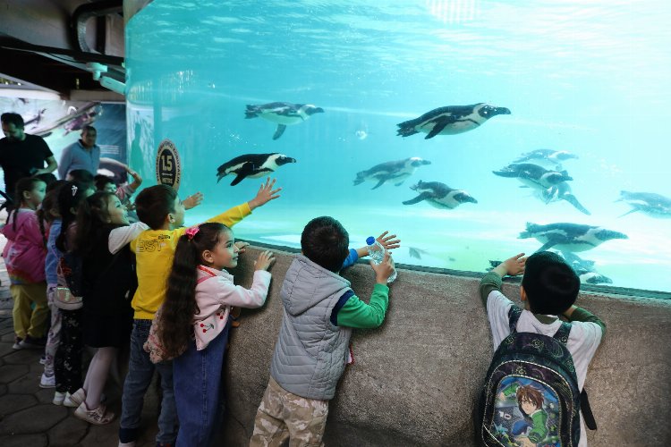 Bursa’da çocuklara hayvan sevgisi aşılandı