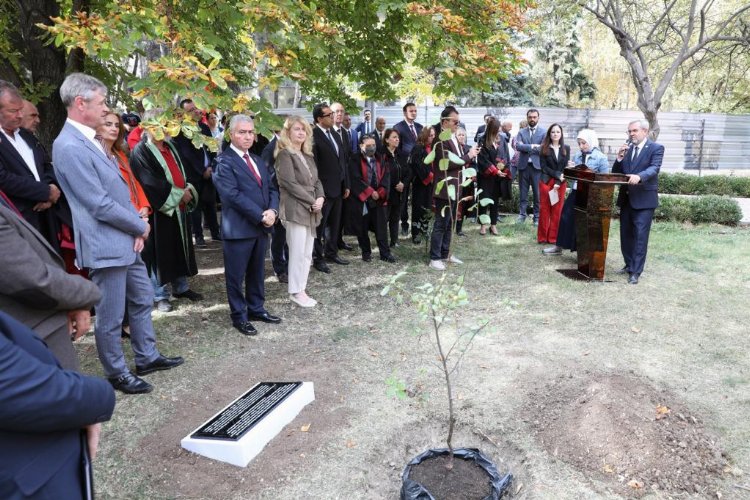 İsviçre’nin fidanı Ankara’da yeşerecek
