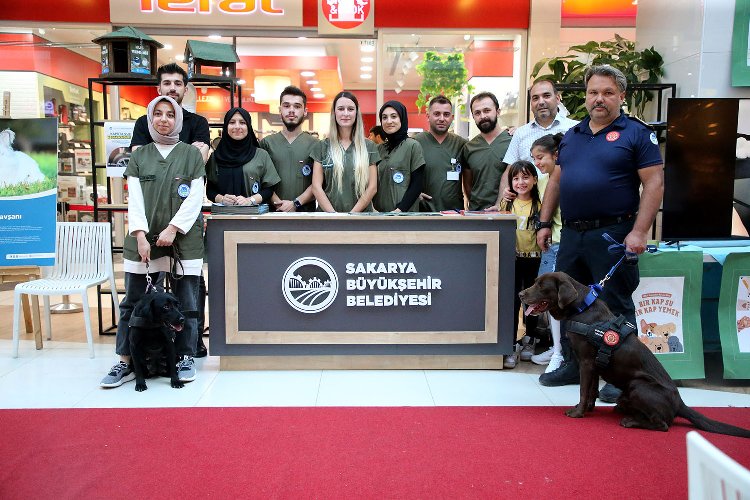 Sakarya’da Pati Festivali’nde renkli görüntüler