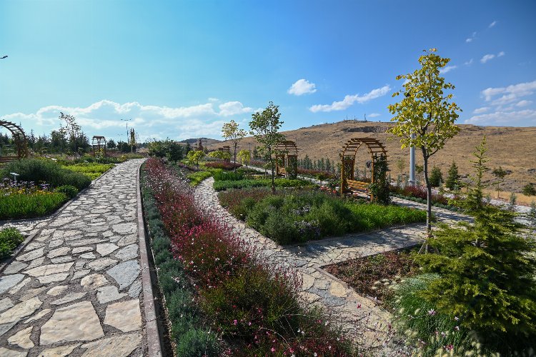 128 tür bitkisiyle ‘Koku’ yayıyor