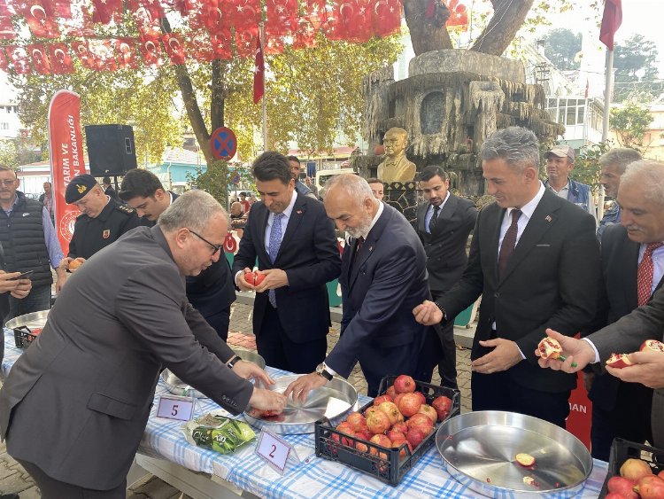 Bilecik İnhisar’da şenlikli nar hasadı