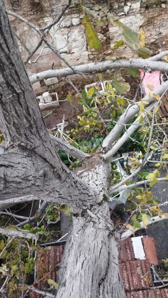 Bursa’da Osmangazi’de lodos mesaisi