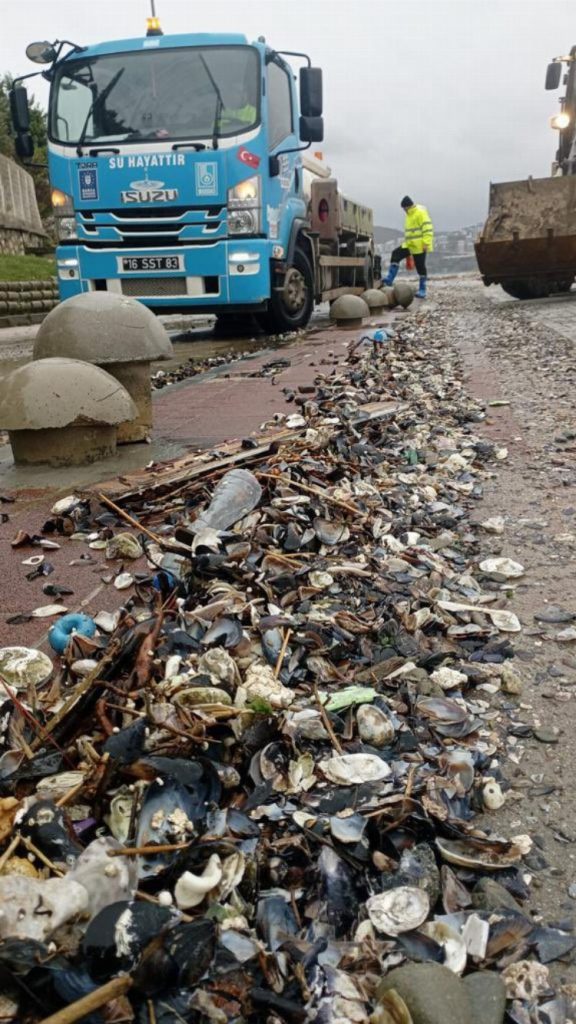 BUSKİ ekipleri sahil bölgelerinde teyakkuzda