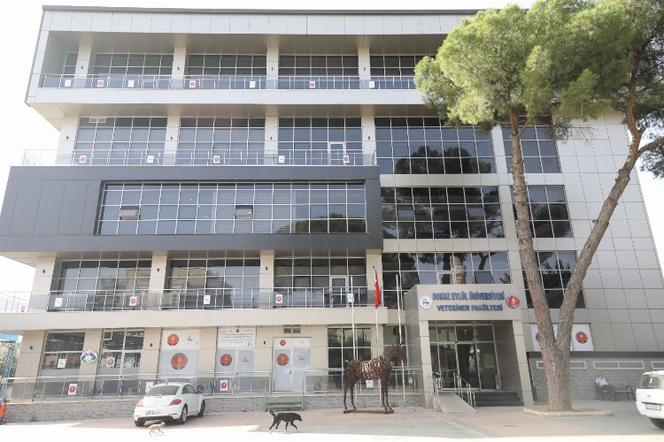 Dokuz Eylül Veteriner Fakültesi’nden bilime katkı