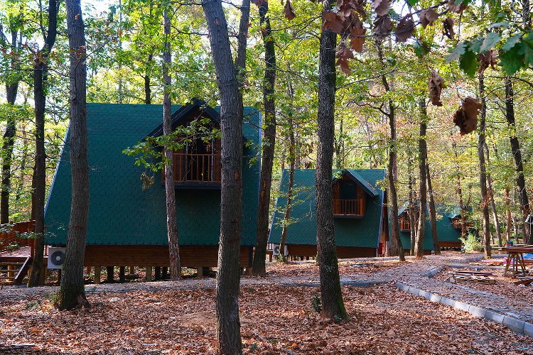 İl Ormanı’nda bungalov tatiline Sakarya güvencesi