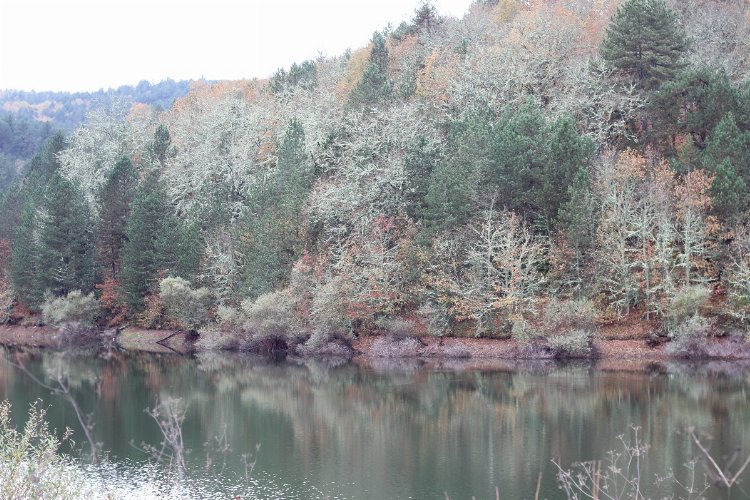 Küçükelmalı Tabiat’ta sonbahar