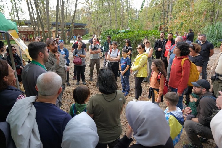 Ormanya’da mantar avı düzenlendi