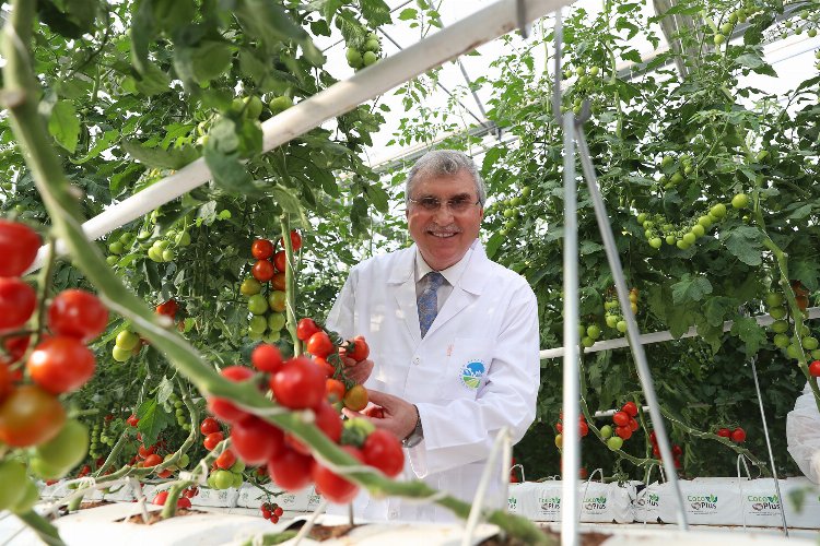Sakarya’nın bereketi dünya sahnesine taşınıyor
