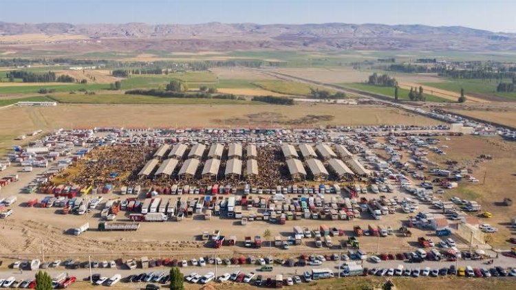 Şarkışla’daki şap karantinası TBMM gündeminde