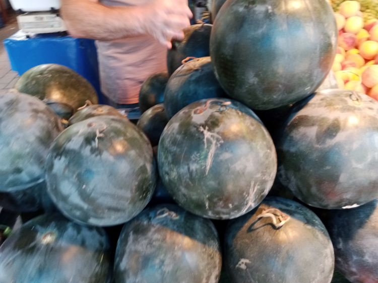 Adana’nın çekirdeksiz karpuzu Bursa’da yoğun ilgi görüyor