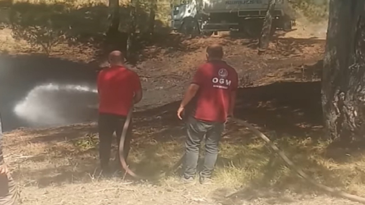 Bilecik’teki orman yangını korkuttu