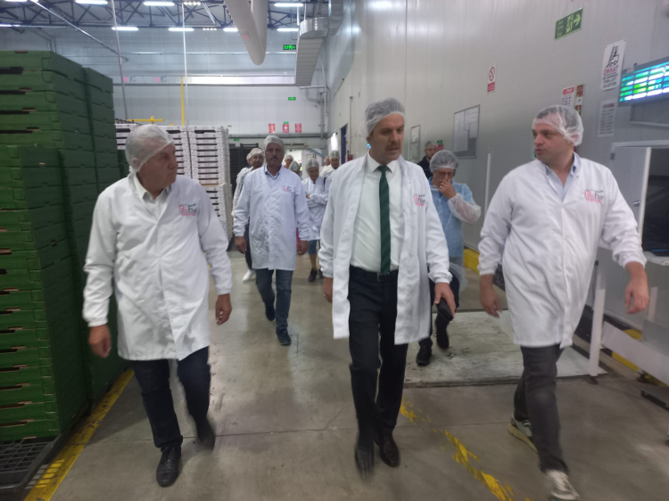 Bursa Siyah İnciri’ne coğrafi işaret denetimi