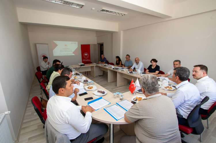 Bursa’da zeytin rekoltesinde yüksek verim bekleniyor