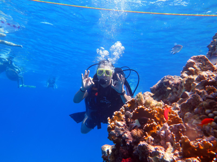 AJet, ilk Fam Trip’ini BookingAgora ile Sharm El Sheikh’e yaptı