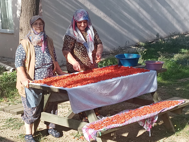 Kışın en ilgi gören tarhana çorbası için hazırlıklar başladı