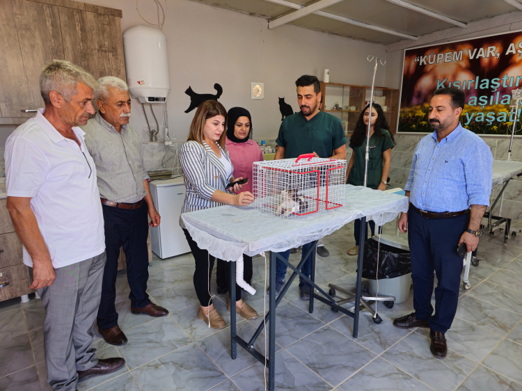 Kızıltepe’de tedavi gören sokak hayvanlarına ziyaret