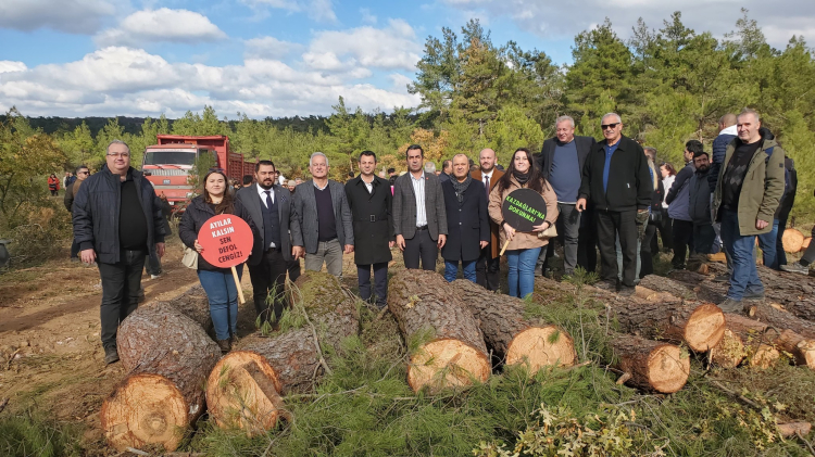 CHP’li vekilden Kazdağları’ndaki ağaç kıyımına suçüstü!