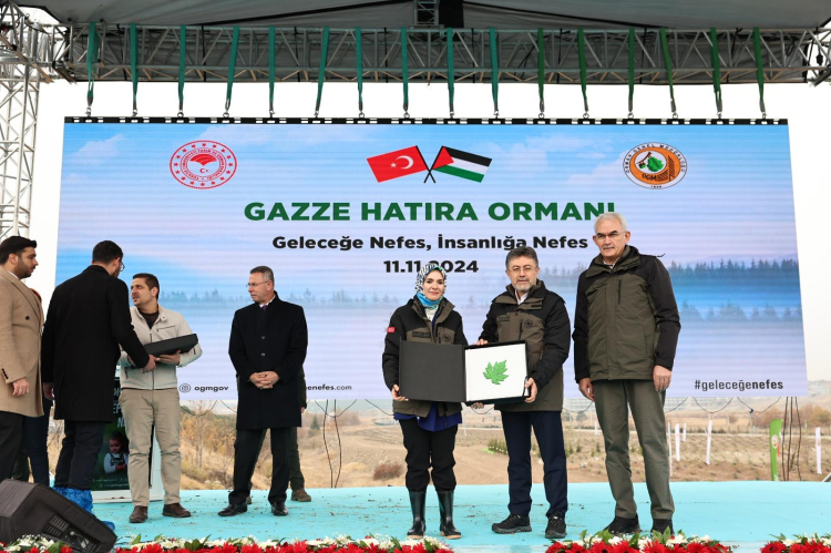 Geleceğe nefes fidanlar ‘Gazze Hatıra Ormanı’nı yeşertecek