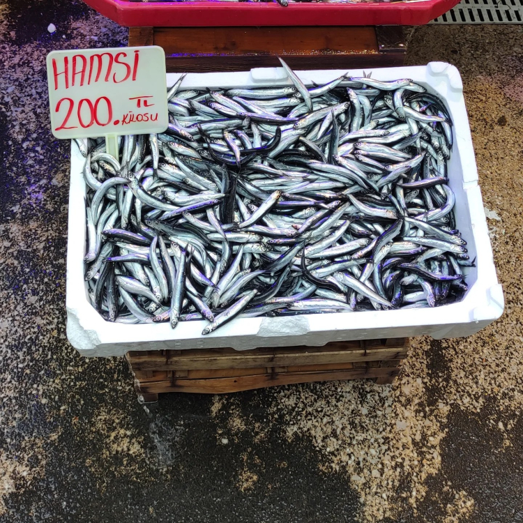 Havalar soğudu Bursa’da balık fiyatları fırladı