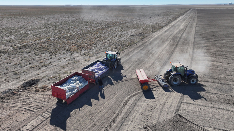 Konya’da atıl araziler ekonomiye kazandırılıyor… 800 dekarlık atıl arazide kuraklığa yerli buğday ekimi