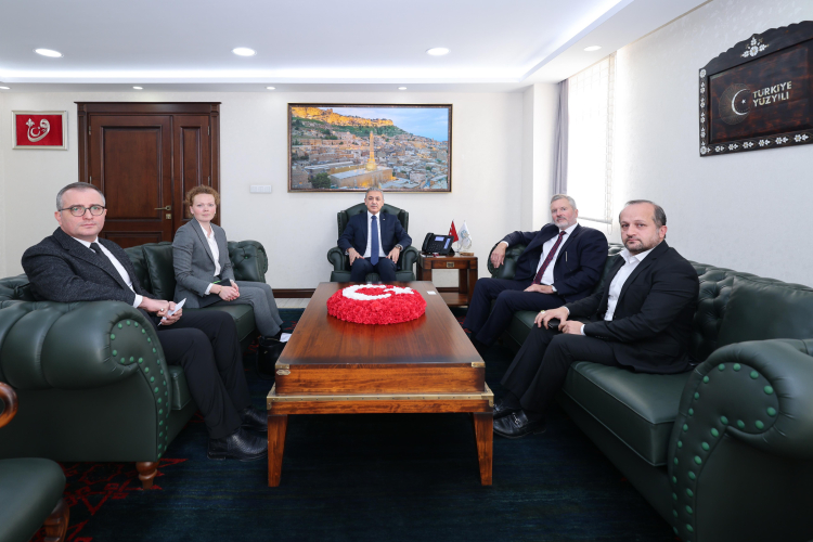 Norveç’in Ankara Büyükelçisi Mardin’i ziyaret etti