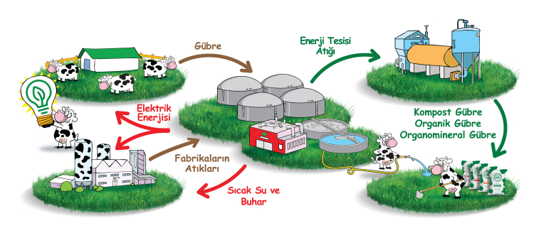 Sütaş, ‘Çiftlikten Sofralara’ iş modeli ile AB Yeşil Mutabakata hazır