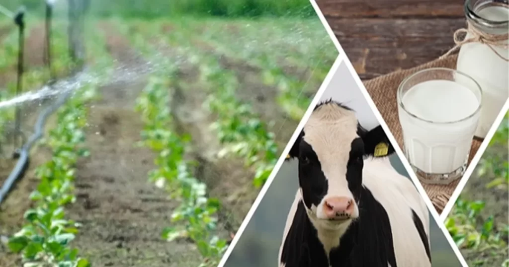 1,4 milyon TL’lik tarımsal desteklemeler hesaplarda