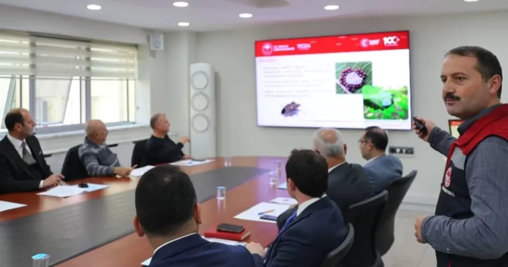 Artvin’de ‘kahverengi kokarca’ tehdidine karşı mücadele