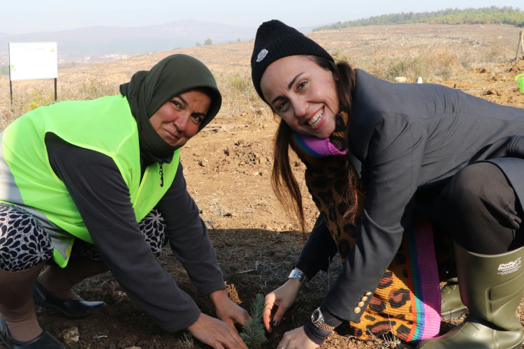 Balıkesir’de 100. Yıl Ormanı oluşuyor