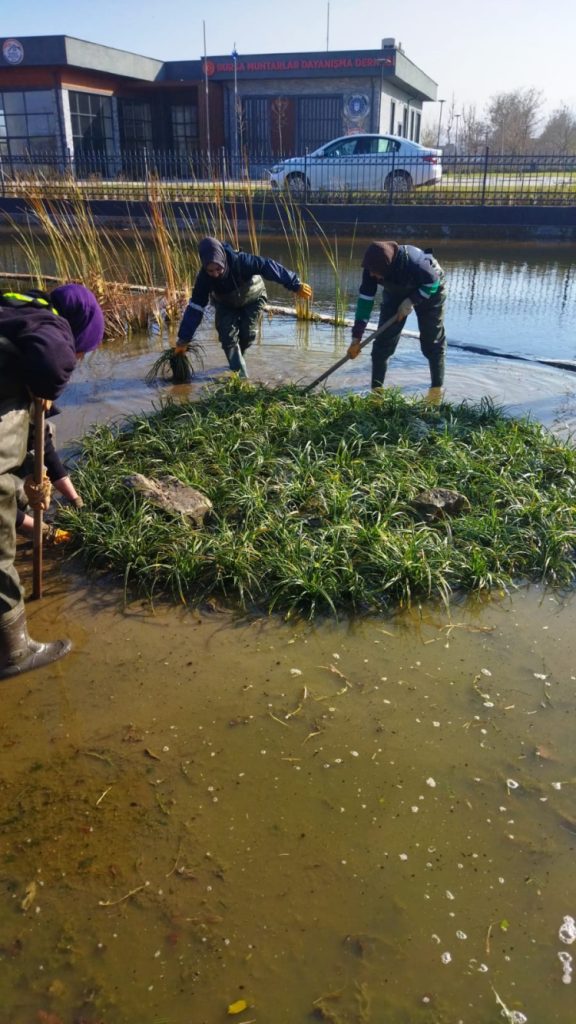 Bursa Büyükşehir’den Gökdere Millet’e bilimsel dokunuş