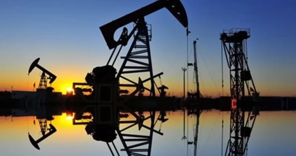 Enerjinin nihai kullanımında en çok petrol tüketildi