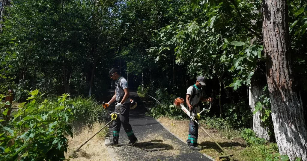 İstanbul Beylikdüzü’nde 2024’te yeşil alan ve altyapı atağı