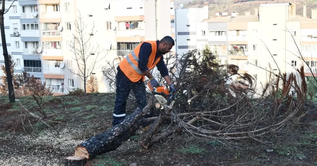 İzmir Çiğli yangın izlerini siliyor!