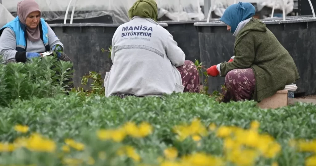 Manisa düşük su tüketimi olan bitkilerle güzelleştiriliyor
