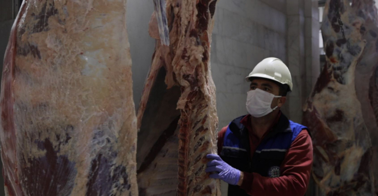 Muğla’da modern mezbahalar güvenli hizmet veriyor