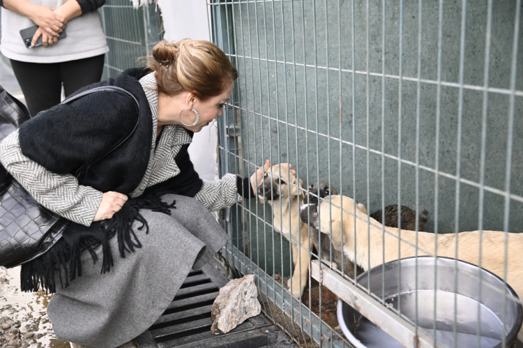 Manisa’da Sokak Hayvanları Komisyonu Akhisar’da toplandı
