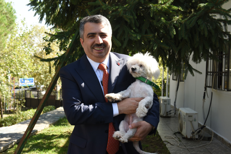 Bursa sahiplenilen hayvanların 1 yıllık muayenesi ücretsiz yapıyor