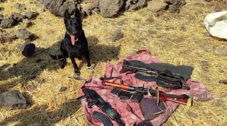 Mardin’deki ‘Hücre’ dağıtıldı! Silah kaçakçılığına 11 tutuklama