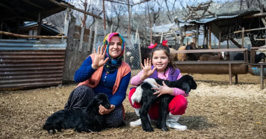 300 yetiştiriciye 7 bin 500 küçükbaş hayvan desteği