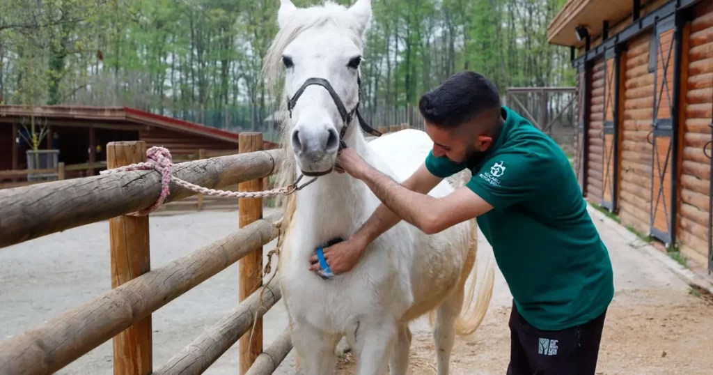 Bayramda doğanın kalbi Ormanya’da atacak