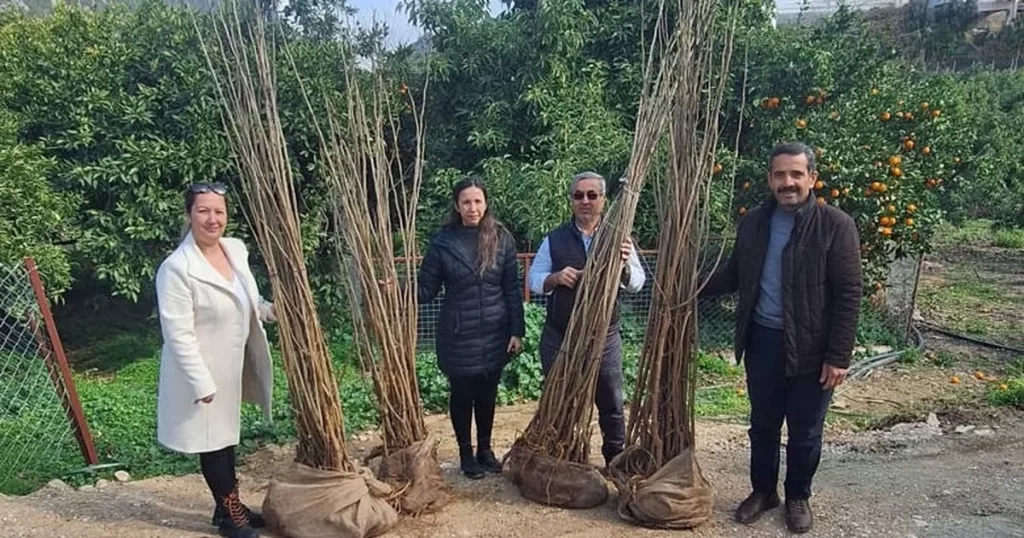 Antalya Büyükşehir’den dut fidanı desteği