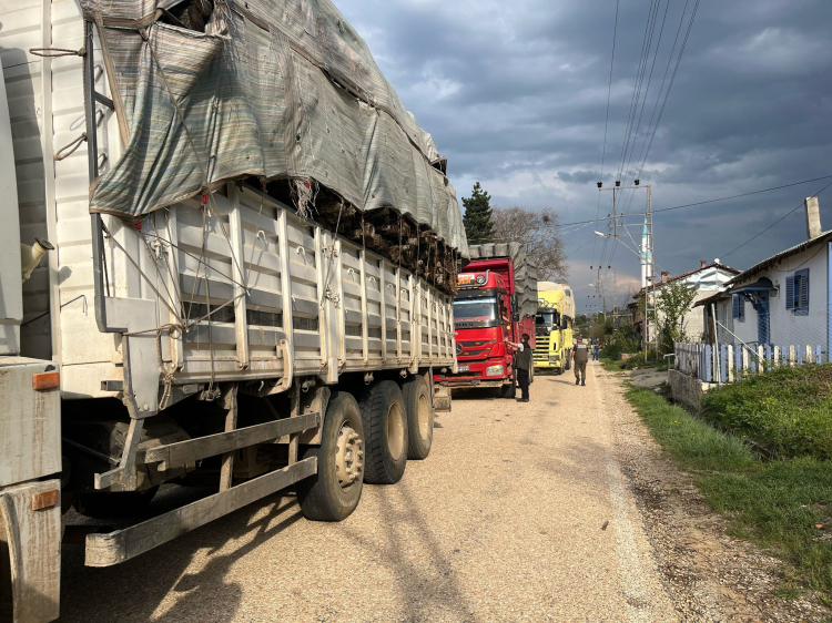 Bilecik Pazaryeri’nde orman emvali denetimi